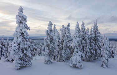 Beautiful winter landscape from Northern Finland
