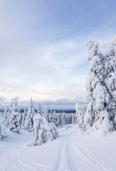 Beautiful winter landscape from Northern Finland