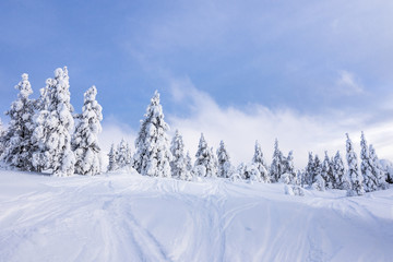 Beautiful winter landscape from Northern Finland