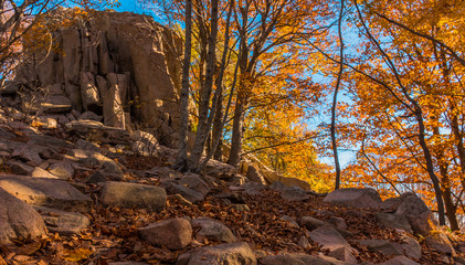 Natural park of Montseny, on a day of autumn, located in Catalonia, Spain