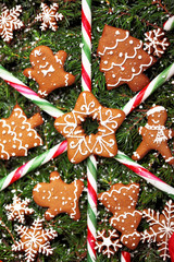 Christmas homemade gingerbread man, snowflakes, stars,Christmas tree cookies and caramel sticks on Christmas wreath.Closeup.Christas tasty cookies