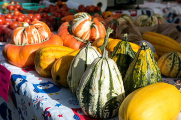 Fall Market