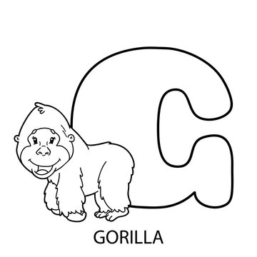 animal alphabet coloring page. Vector illustration of educational alphabet coloring page with cartoon character for kids