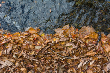 Autumn colors textures and backgrounds