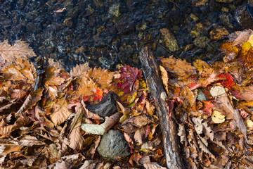 Autumn colors textures and backgrounds