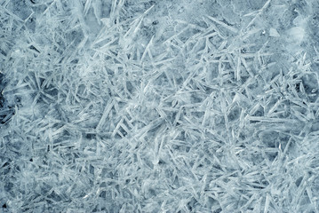 Fototapeta na wymiar background, texture: surface of water during freezing; a lot of ice crystals welded into a single surface
