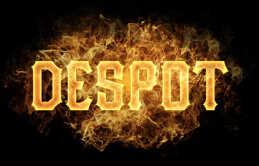 despot word text logo fire flames design