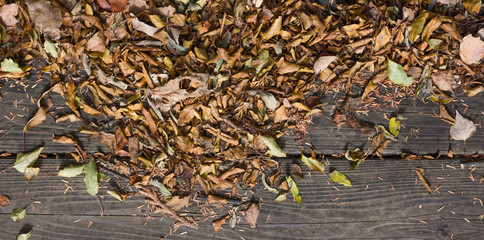 Autumn golden colors copy space 