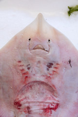 Stingray at the fish market