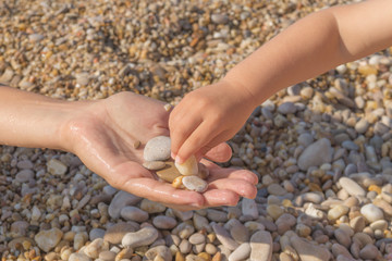 Child's hand takes pebbles from mother's hand on the beach