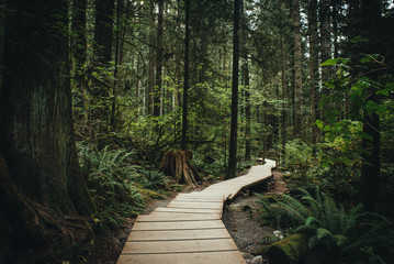 Lynn Valley Bridge North Vancouver Canada