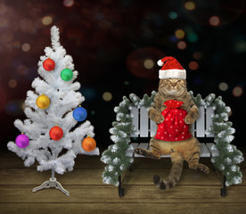 The cat in a Santa Claus hat with a bag of gifts sits on a bench near the Christmas tree decorated with multi-colored balls.