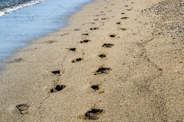 Footprints in the sand 