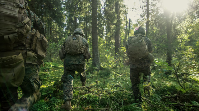Squad of Five Fully Equipped Soldiers in Camouflage on a Reconnaissance Military Mission, Rifles Ready. They're Moving in Formation Through Dense Forest. Back View Shot.
