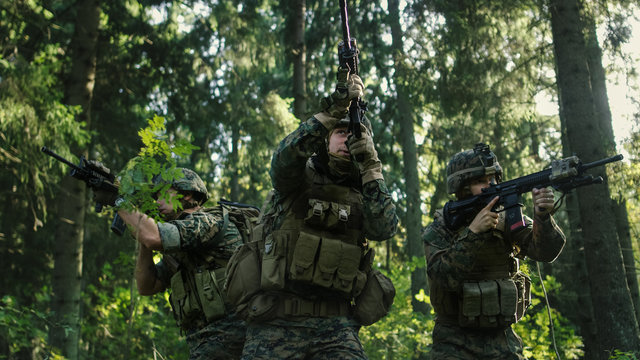 Three Fully Equipped Soldiers Wearing Camouflage Uniform Attacking Enemy, They're in Shooting Ready Stance, Aiming Rifles. Military Operation in Action, Squad Standing in Dense Forest.