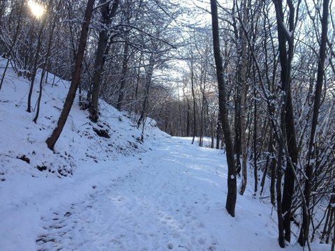 Fontanaciap&egrave;