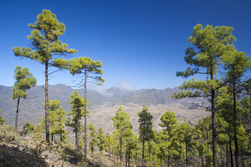 Gran Canaria, November