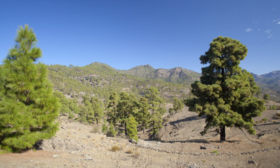 Gran Canaria, November