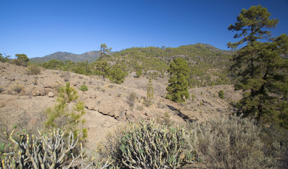 Gran Canaria, November