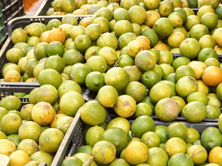 citrus lemons in boxes in a market