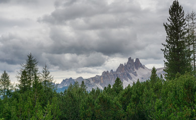 forest and mountain landscape of the South Tyrol in autumn