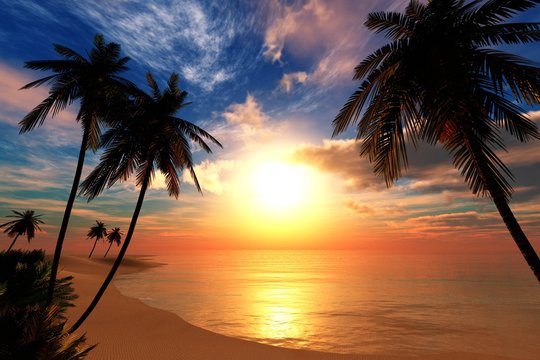 beautiful sea sunset on the beach with palm trees

