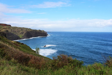 Fototapeta na wymiar Maui North Coast
