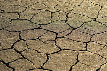 cracks in dry clay