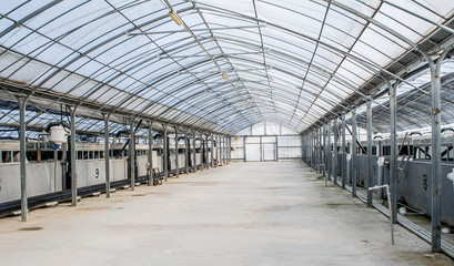 Pool for breeding sturgeon fish