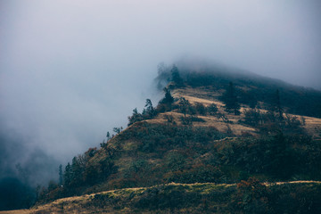 foggy side of a mountain