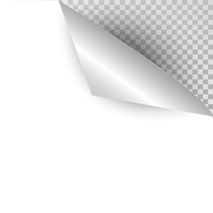 Curly page corner realistic shadow on blank sheet of paper Isolated on transparent background. Vector illustration