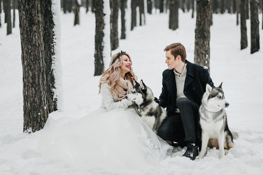 Cheerful couple are playing with siberian husky in snowy forest. Winter wedding Artwork
