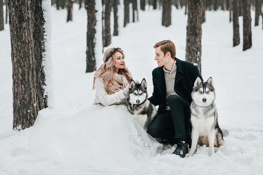 Cheerful couple are playing with siberian husky in snowy forest. Winter wedding Artwork