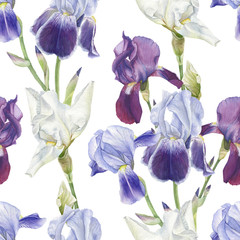 Floral seamless pattern with watercolor irises