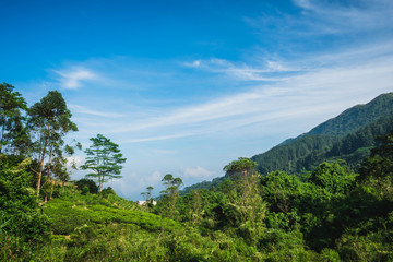 Mountains in Sri Lanka  