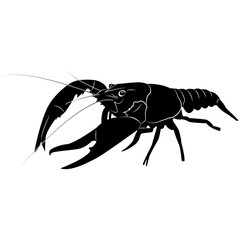 Vector, flat image of river crawfish on an isolated white background