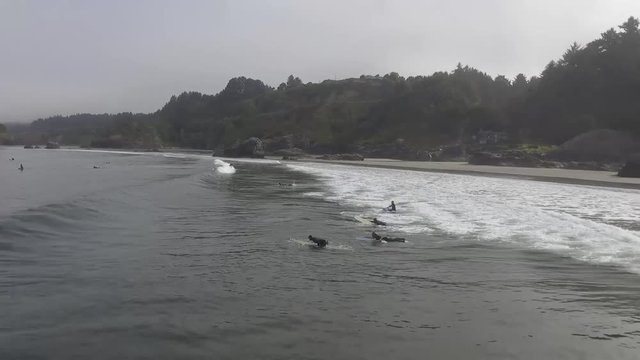 Aerial of Surfers 
