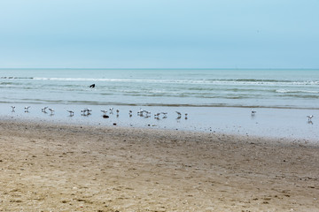Fototapeta na wymiar Rimini beach in winter