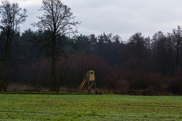 Ambona myśliwska do polowań, © Senatorek