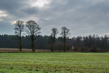 Ambona myśliwska do polowań, © Senatorek