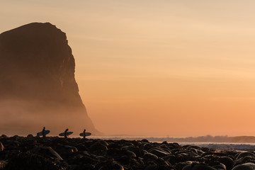 Surfing in lofoten