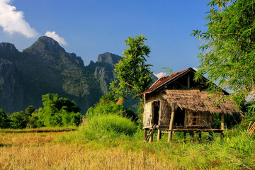 Farmer's hut on a field in Vang Vieng, Vientien Province, Laos