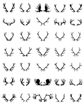 Black silhouettes of different horns on a white background