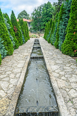 Botanical garden with green pine trees and water decorative fountains