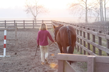 Ragazza con Cavallo