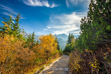 Fototapeta na wymiar Trail to Hala Gasienicowa, Tatra mountains, Poland