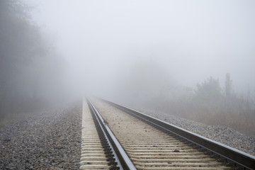 Foggy Day at the Greenway Trail