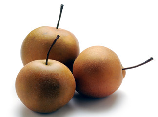 Pyrus pyrifolia Nashi ナシ Korean pear 沙梨 Nashi-Birne สาลี่ Asian Sandpäron ผลไม้ Груша грушелистная 배나무 Pera-nashi Omenapäärynä Grusza chińska Nashipeer © Comugnero Silvana