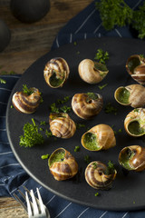 Fancy French Hot Escargot Appetizer