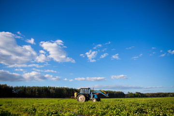 Agrikultura tractor cultivates the soil on the field